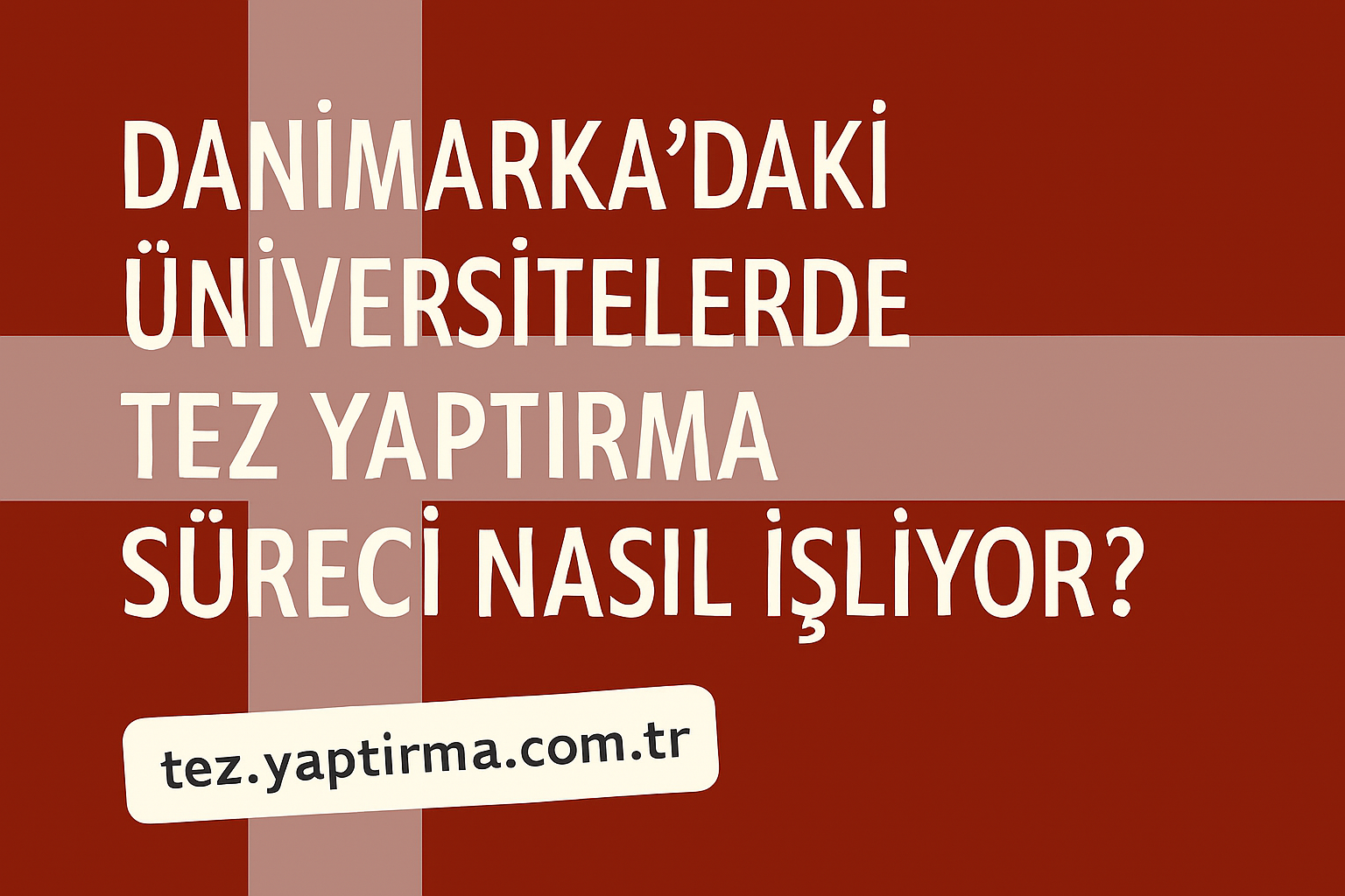 Read more about the article Danimarka’daki Üniversitelerde Tez Yaptırma Süreci Nasıl İşliyor?