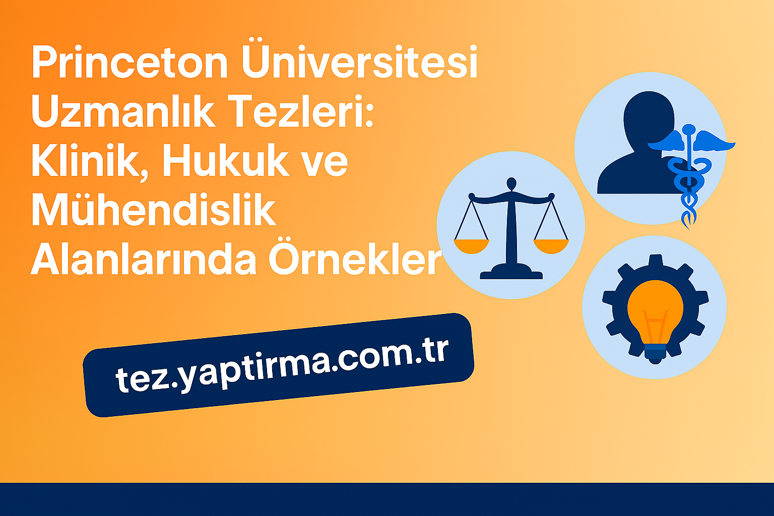 Read more about the article Princeton Üniversitesi Uzmanlık Tezleri: Klinik, Hukuk ve Mühendislik Alanlarında Örnekler