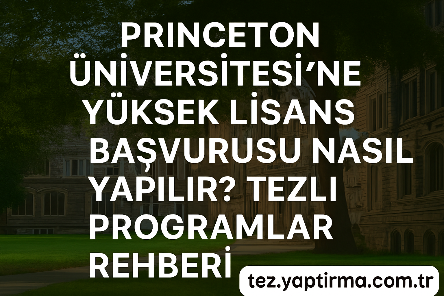Princeton Üniversitesine Yüksek Lisans Başvurusu Nasıl Yapılır Tezli Programlar Rehberi - Tez Yazdırma & Danışmanlık Merkezi