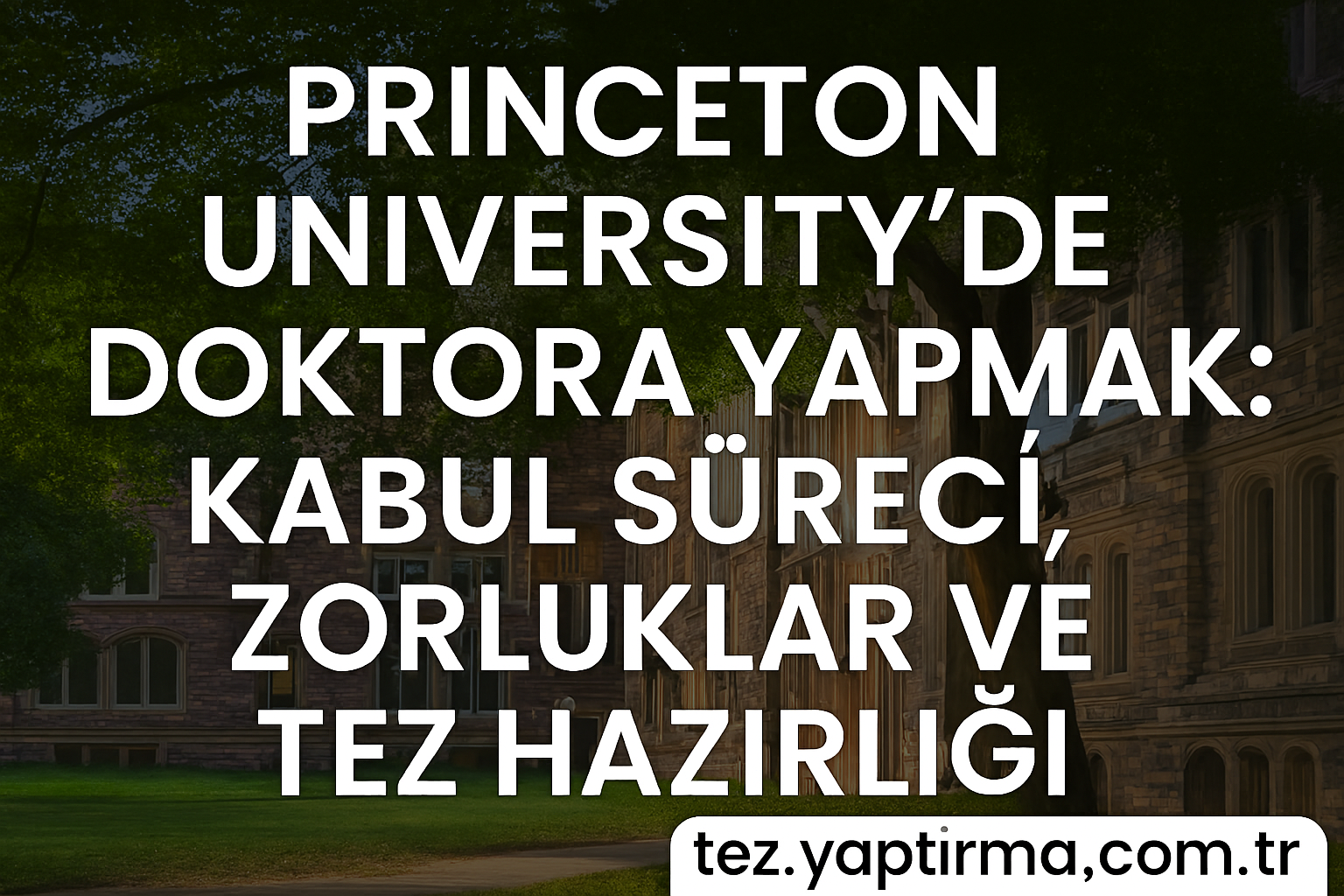 Read more about the article Princeton University’de Doktora Yapmak: Kabul Süreci, Zorluklar ve Tez Hazırlığı